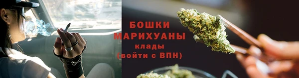 apvp Богданович