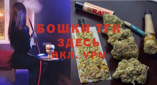 apvp Богданович