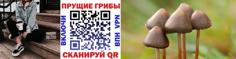 Галлюциногенные грибы мухоморы  где найти наркотики  Кущёвская 